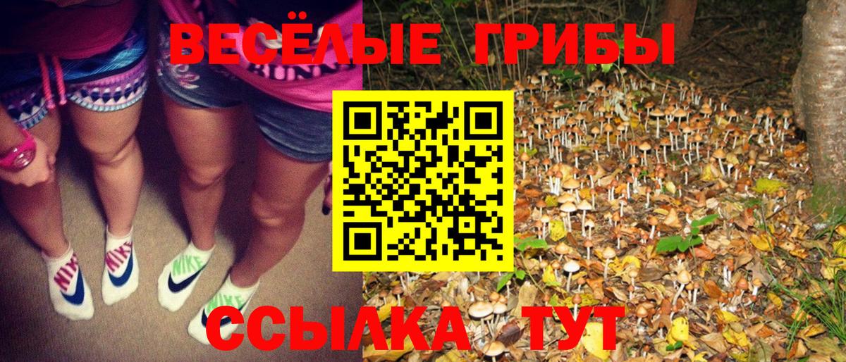 даркнет сайт  Галлюциногенные грибы Cubensis  Псилоцибиновые грибы ЛСД  Вход с VPN  Когалым 