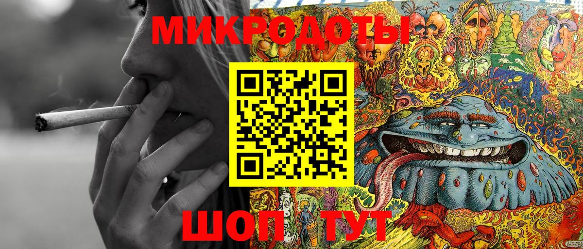 Галлюциногенные грибы Psilocybine cubensis Когалым